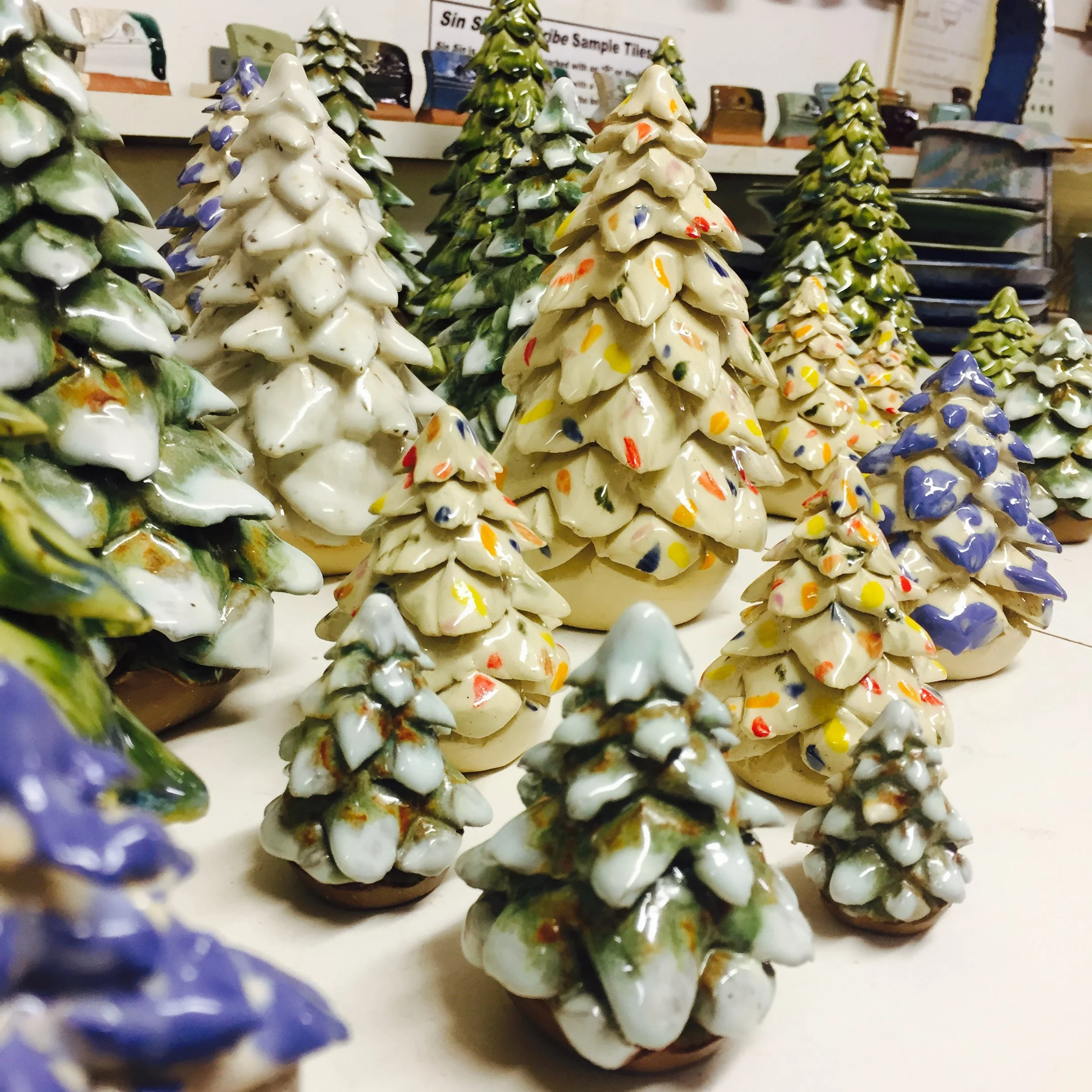 Pine trees on the studio table