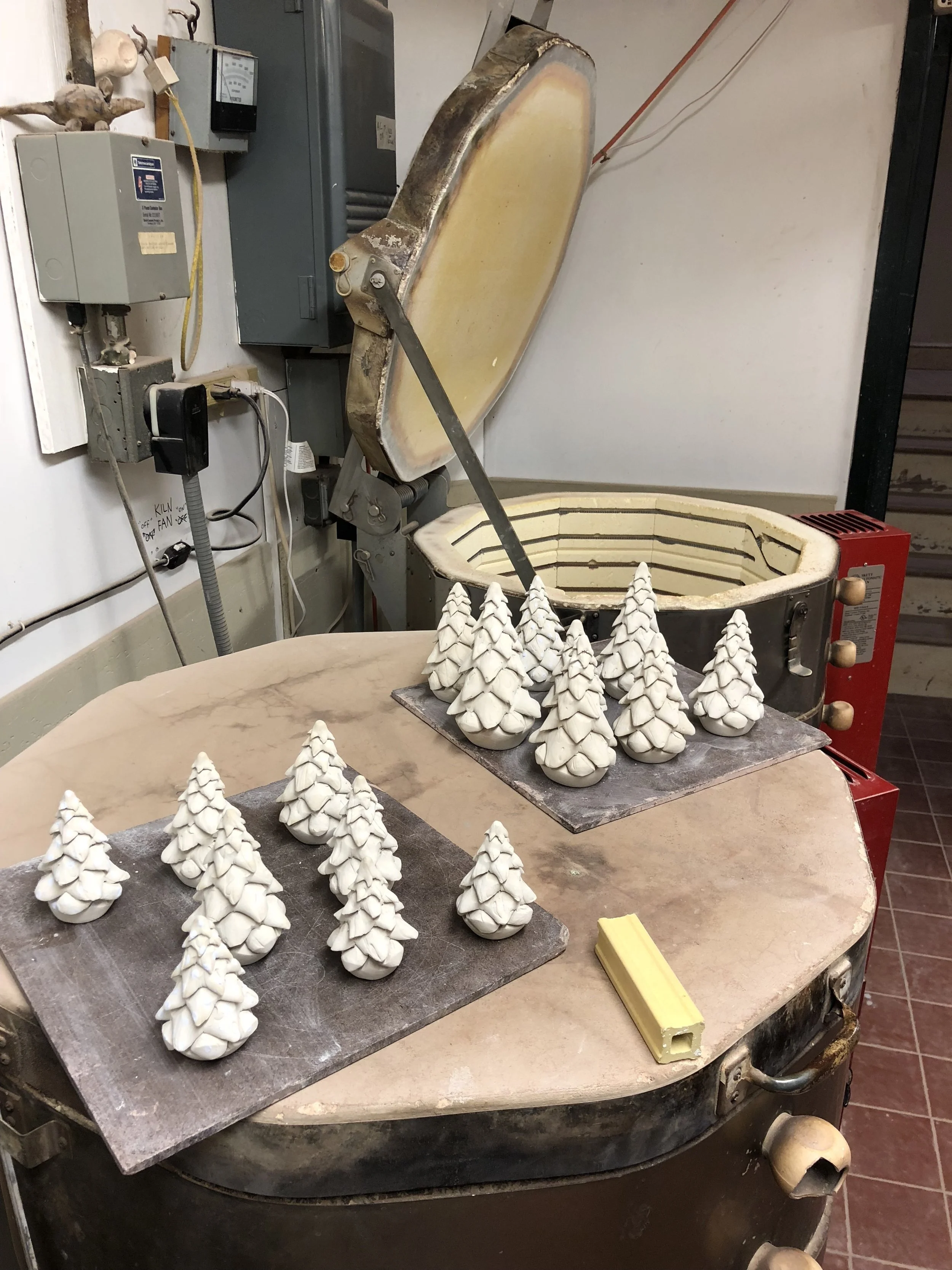 Pine trees in the studio