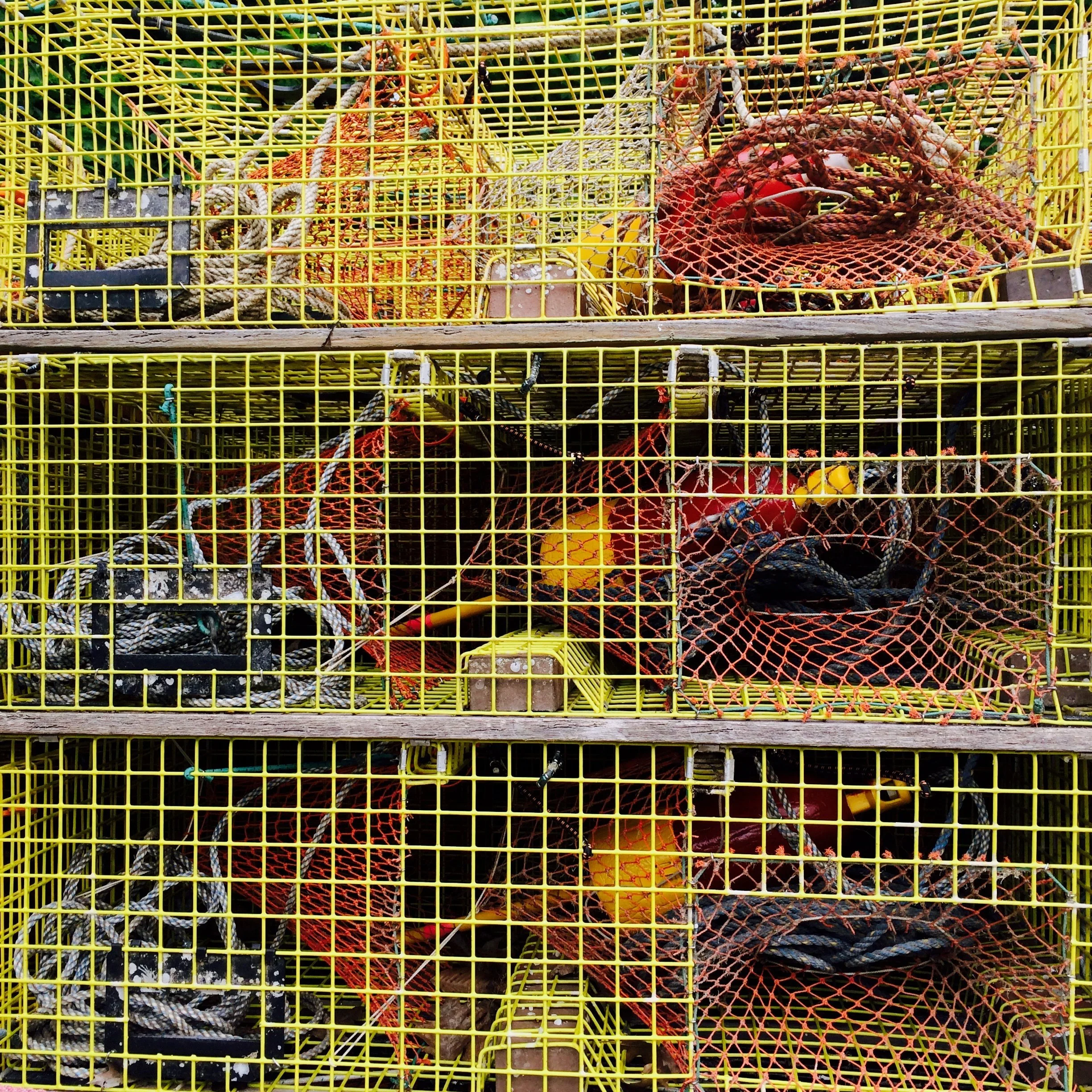 Stacked yellow wire lobster traps with red rope in Maine