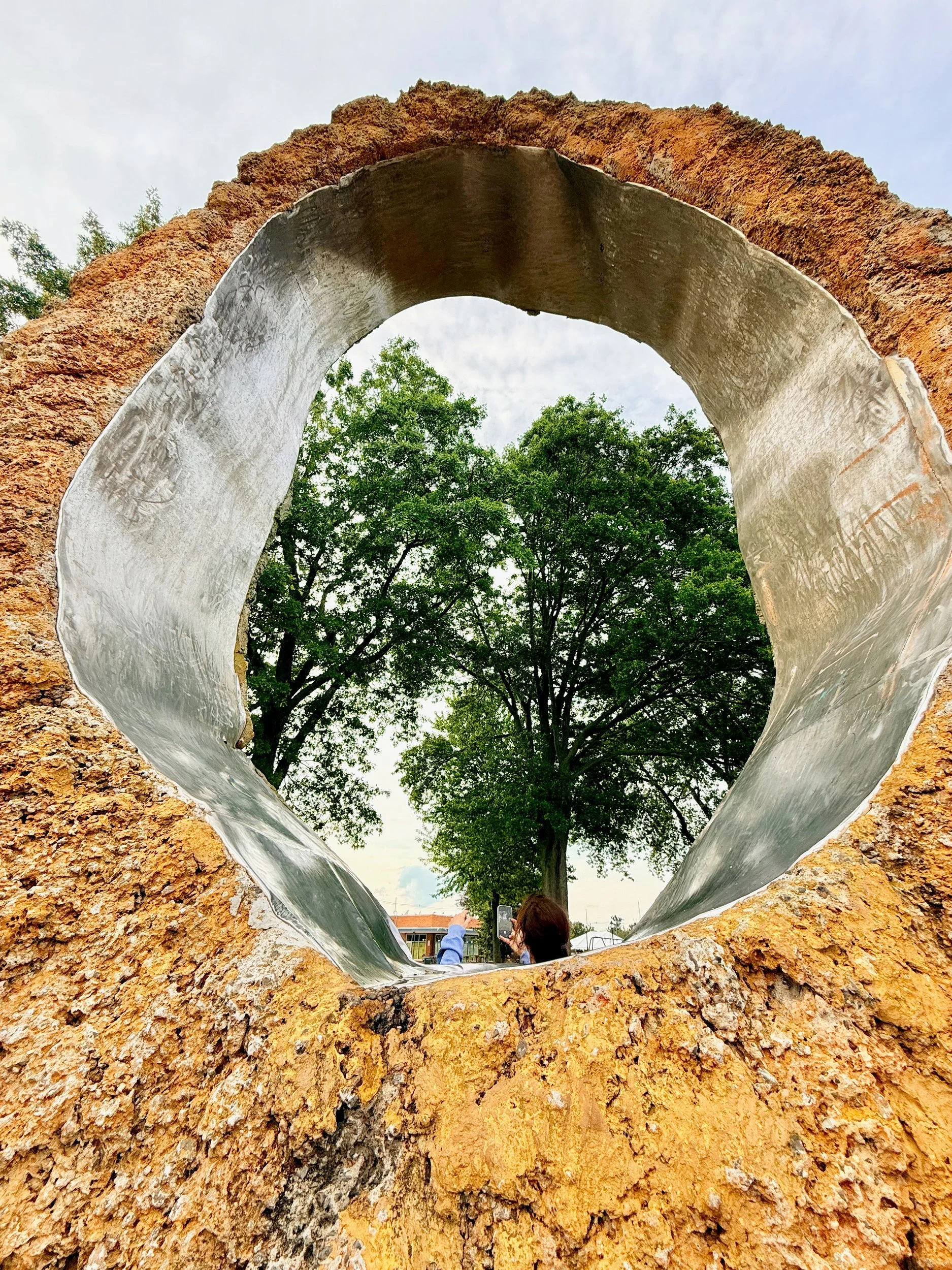 Tree seen through the opening of a metal sculpture