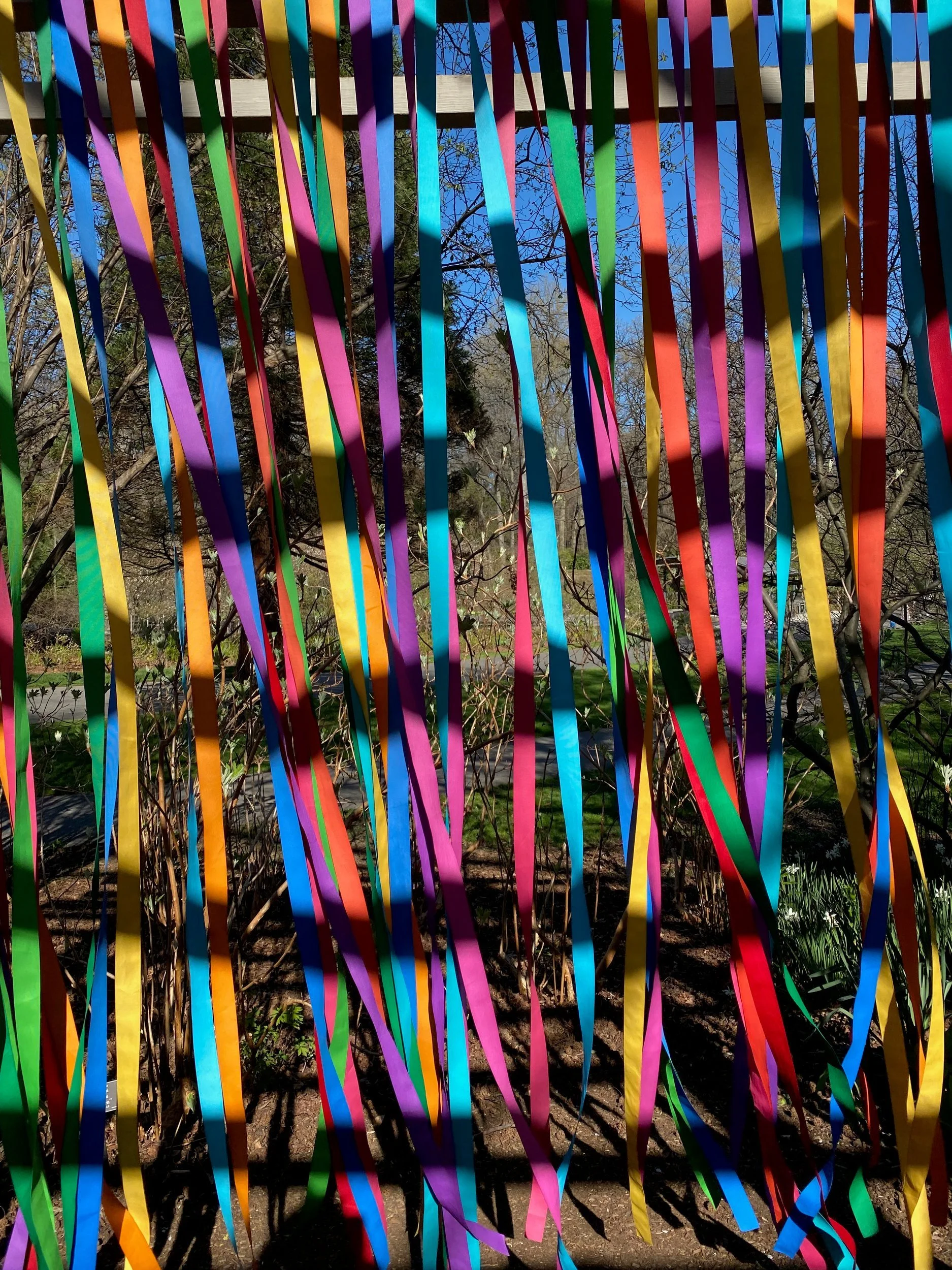 Rainbow ribbons hanging in front of trees