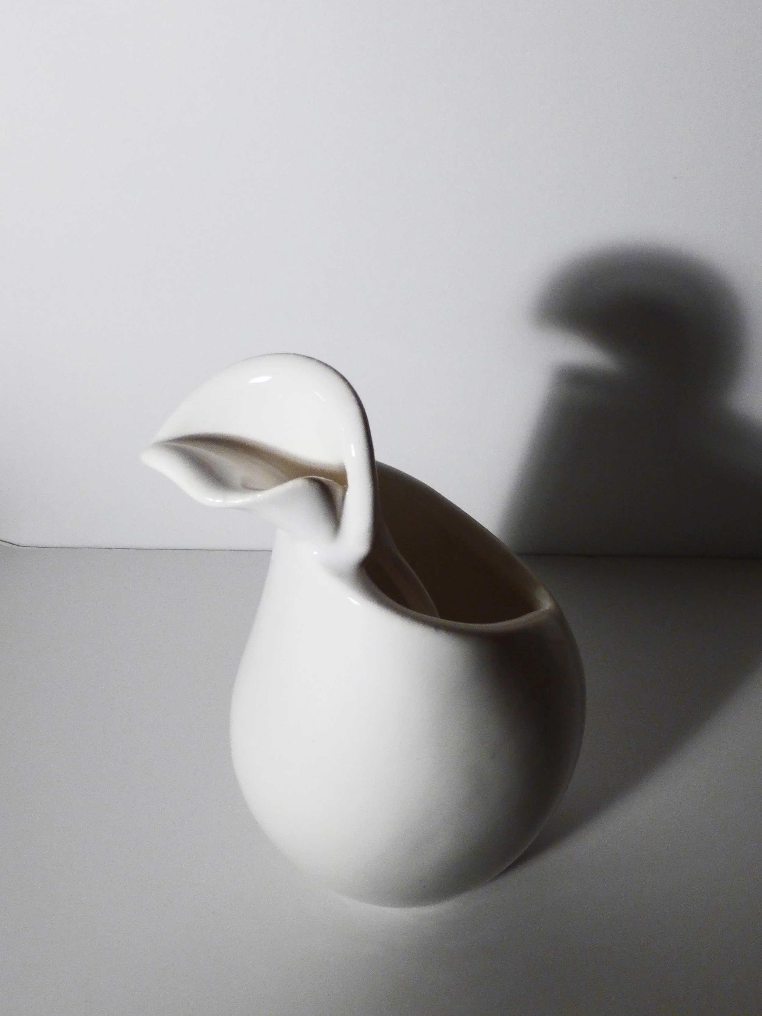 Copy of P1010930.JPG