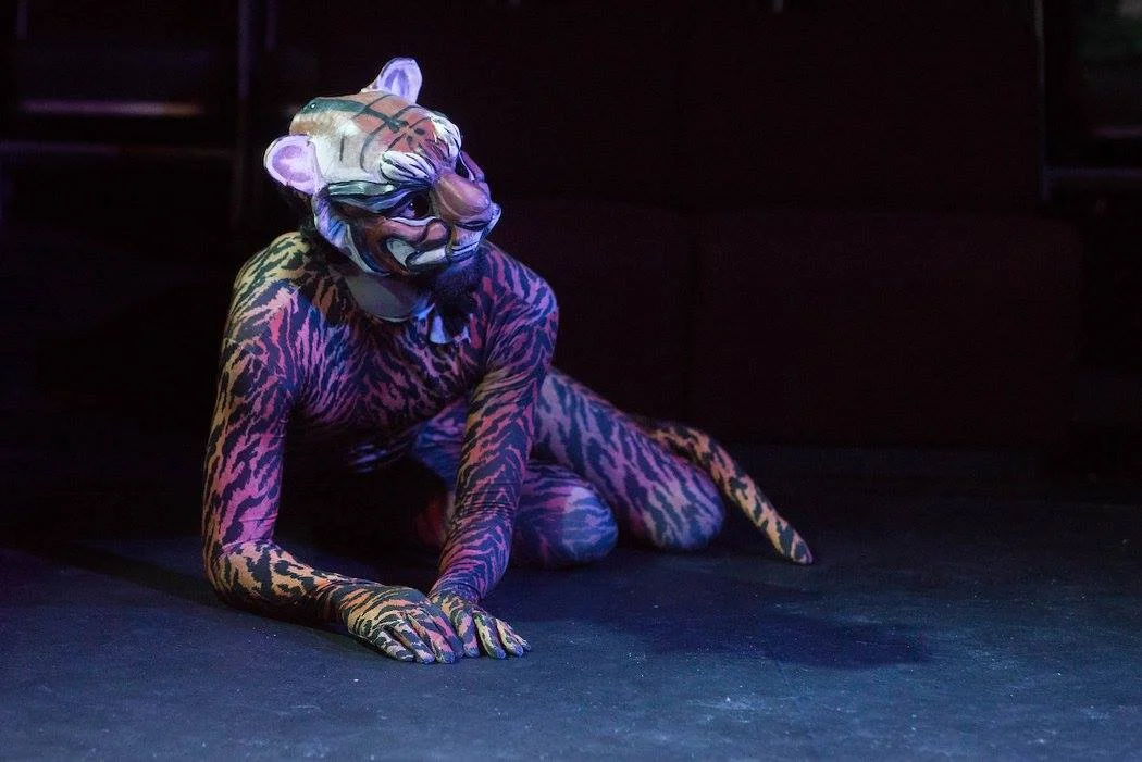 Aglaonike's Tiger
