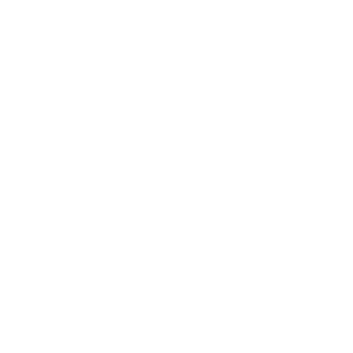 JOYCE_STORM.png