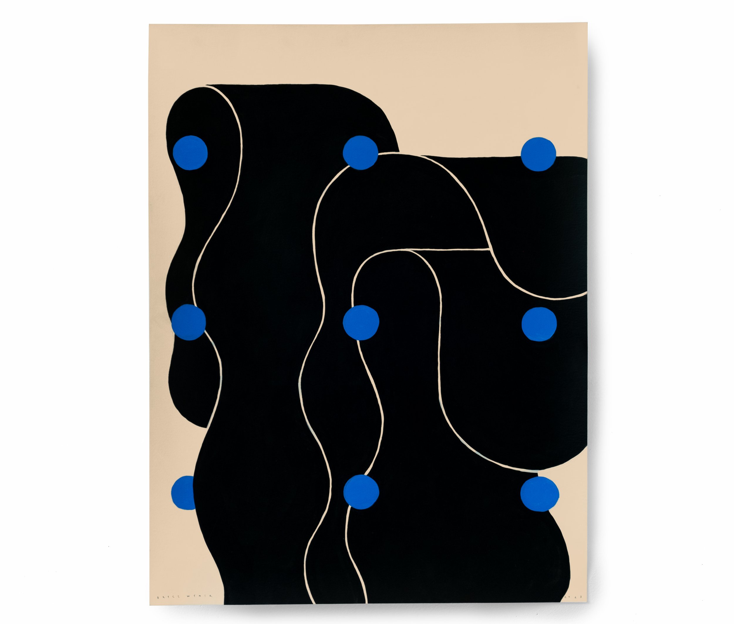 BW_Blue_Anise_8.jpg