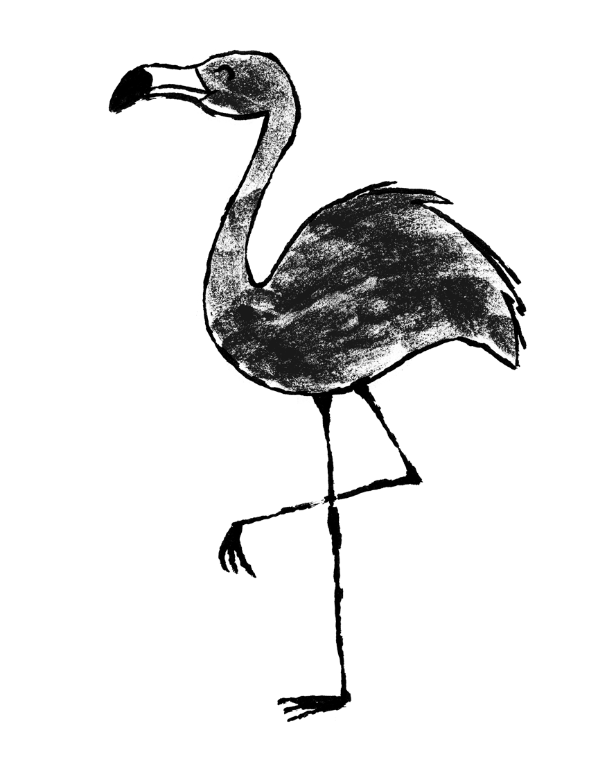 Flamingo.gif