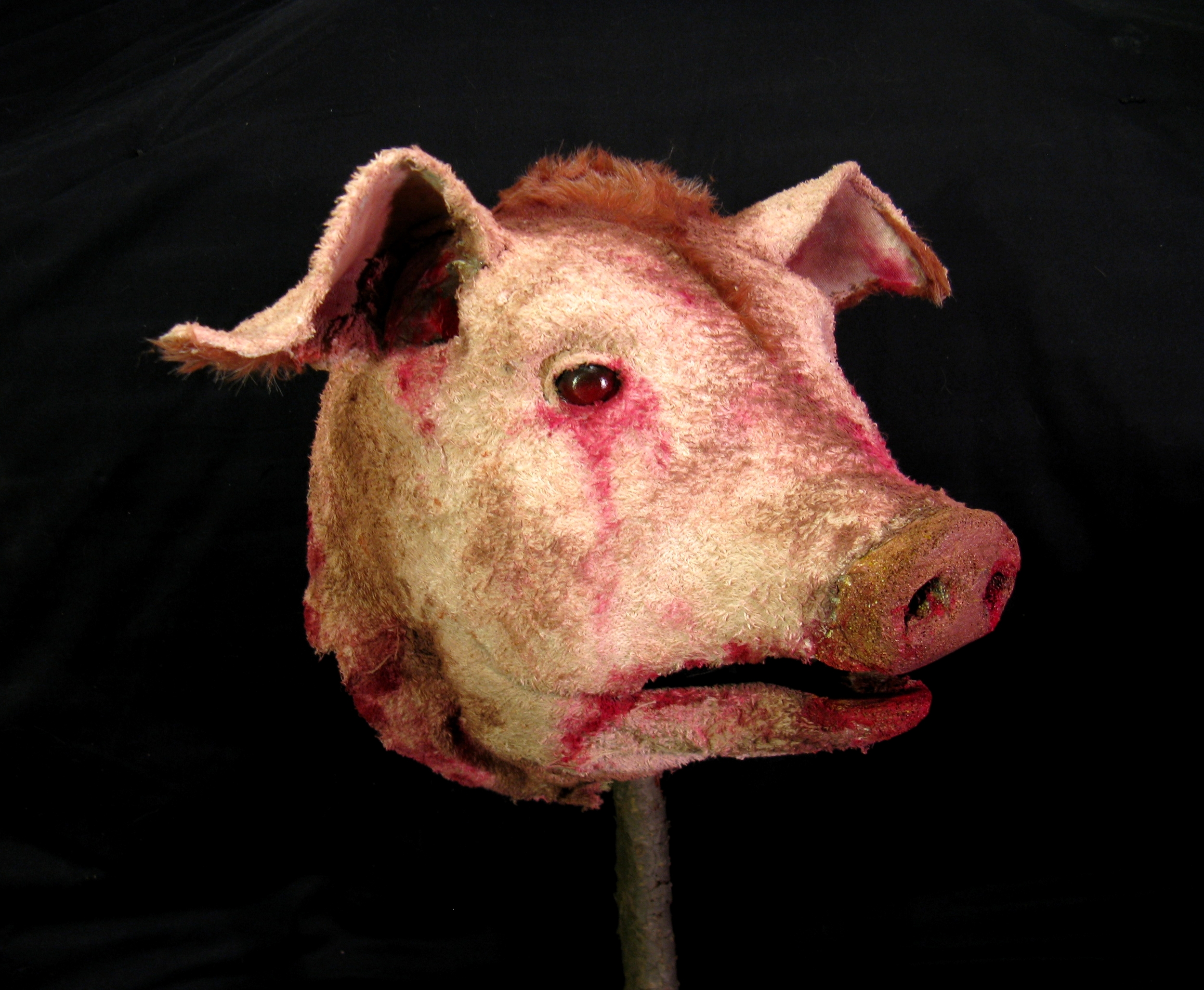 Pig's Head, 2008