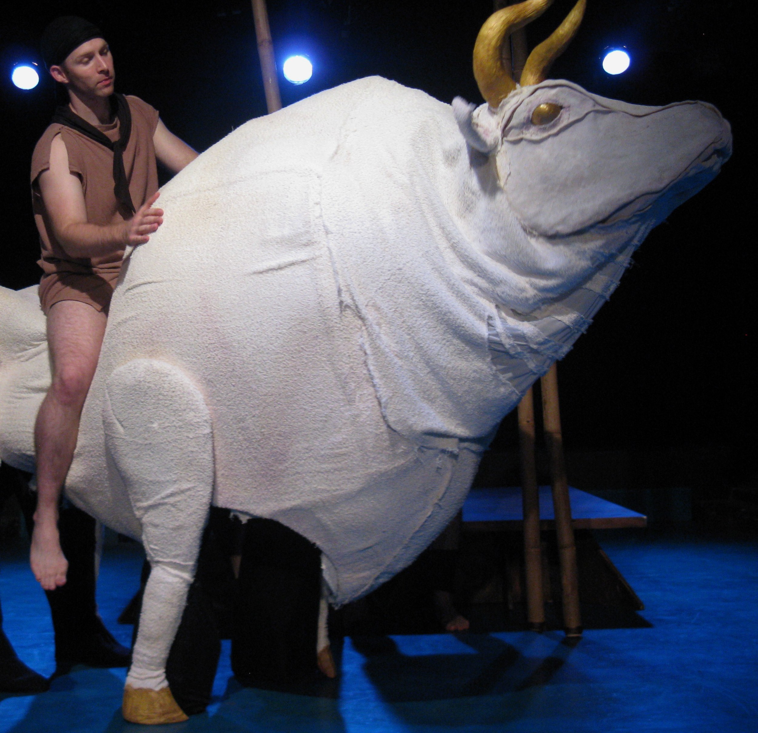White Bull, 2009 