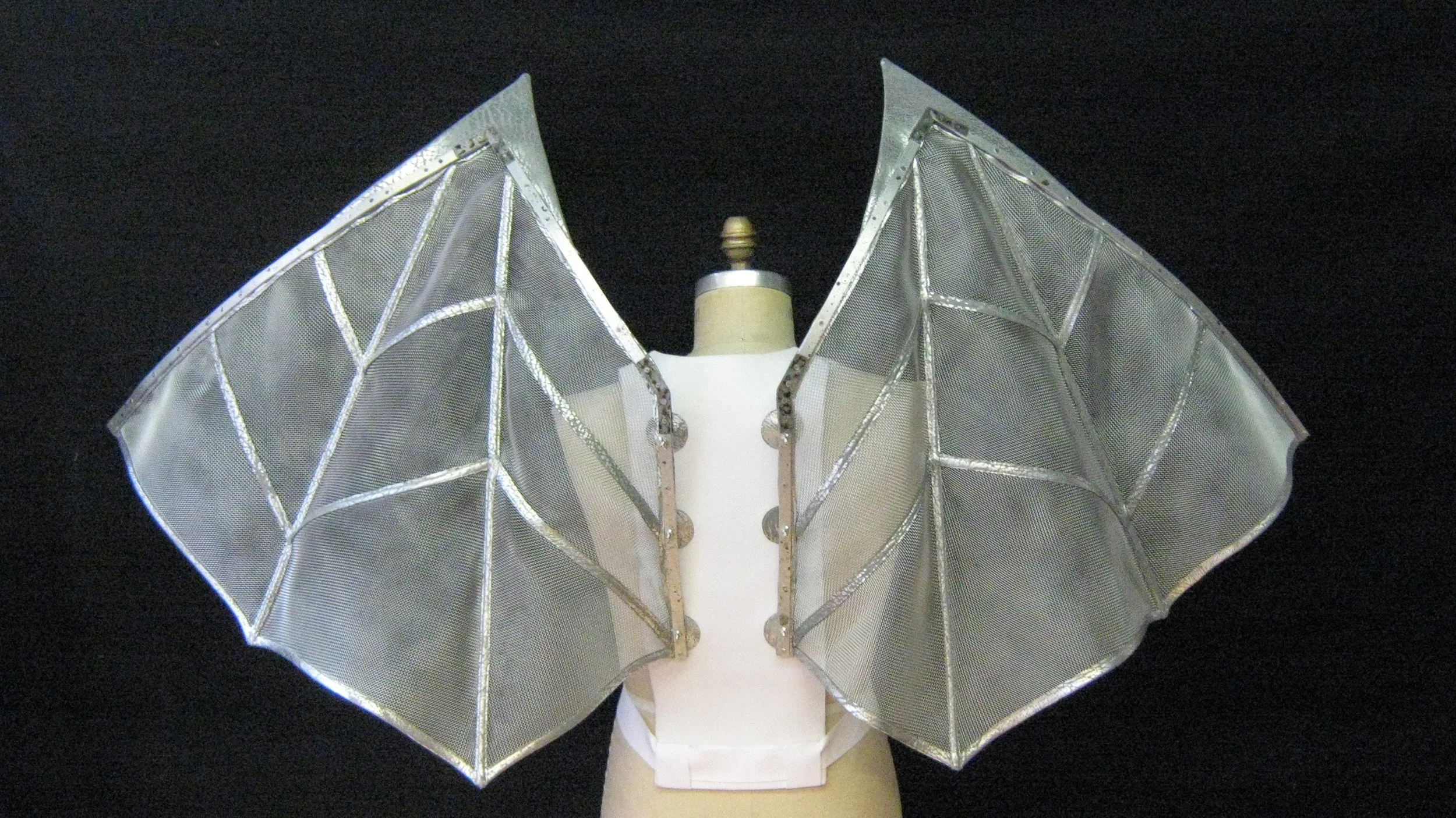Silver Wings, Carelli's Costumes 2014