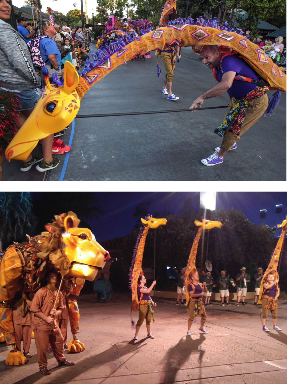 Giraffes, the Puppet Kitchen for San Diego Zoo 2016
