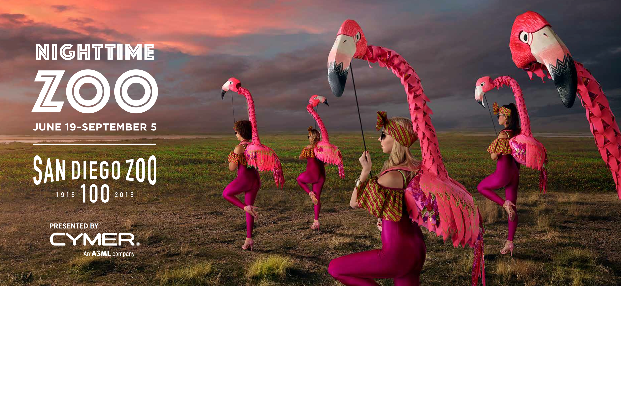 Flamingos, the Puppet Kitchen for San Diego Zoo 2016