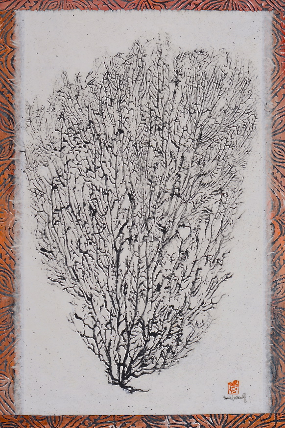 White Background Sea Fan.jpg