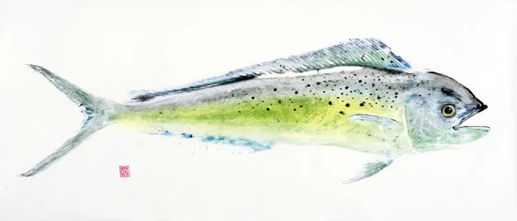 mahimahi.jpg