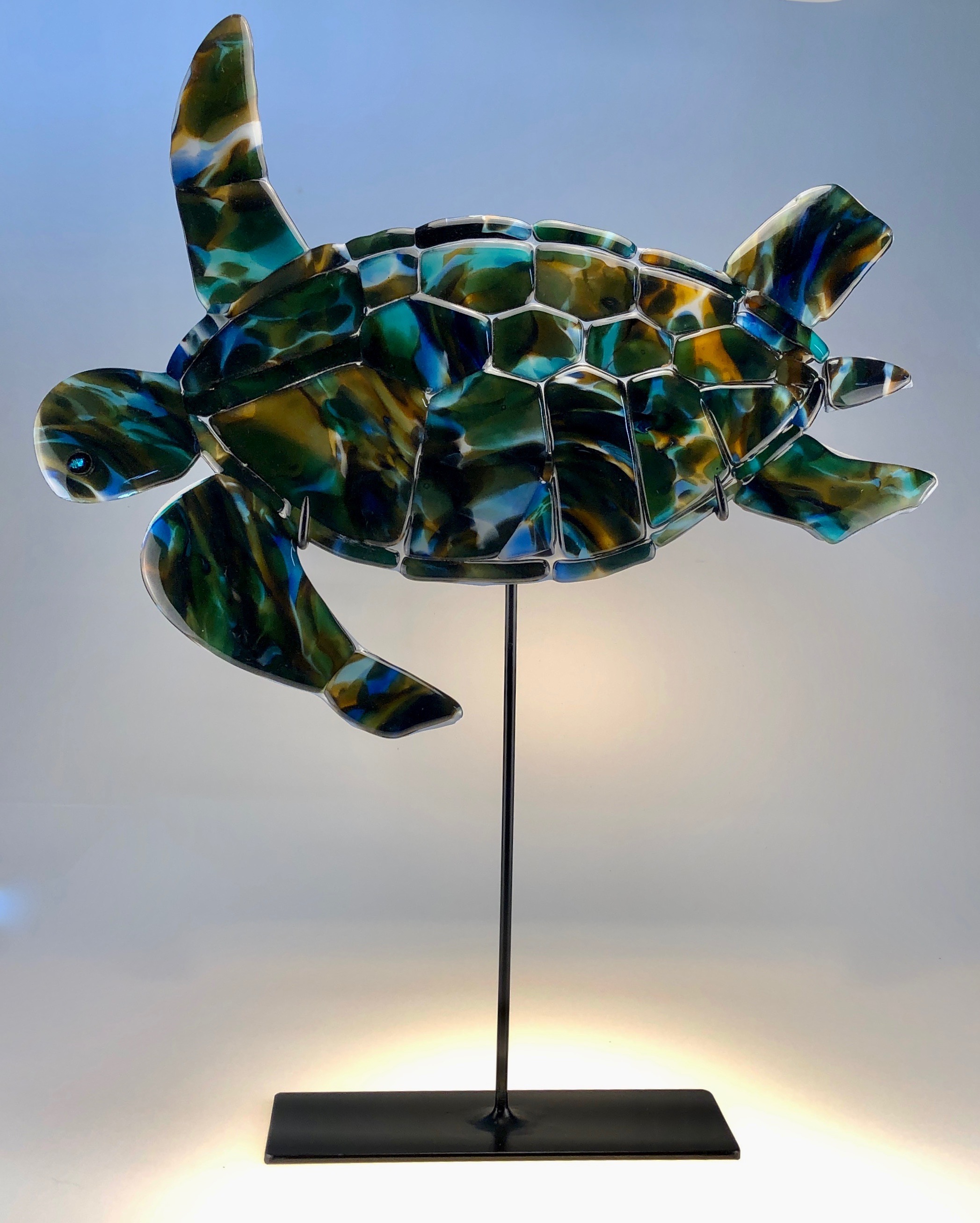 HONU, HAWAIIAN GREEN SEA TURTLE, 18” x 23” Blown glass, shattered, fused and slumped. Rick Strini