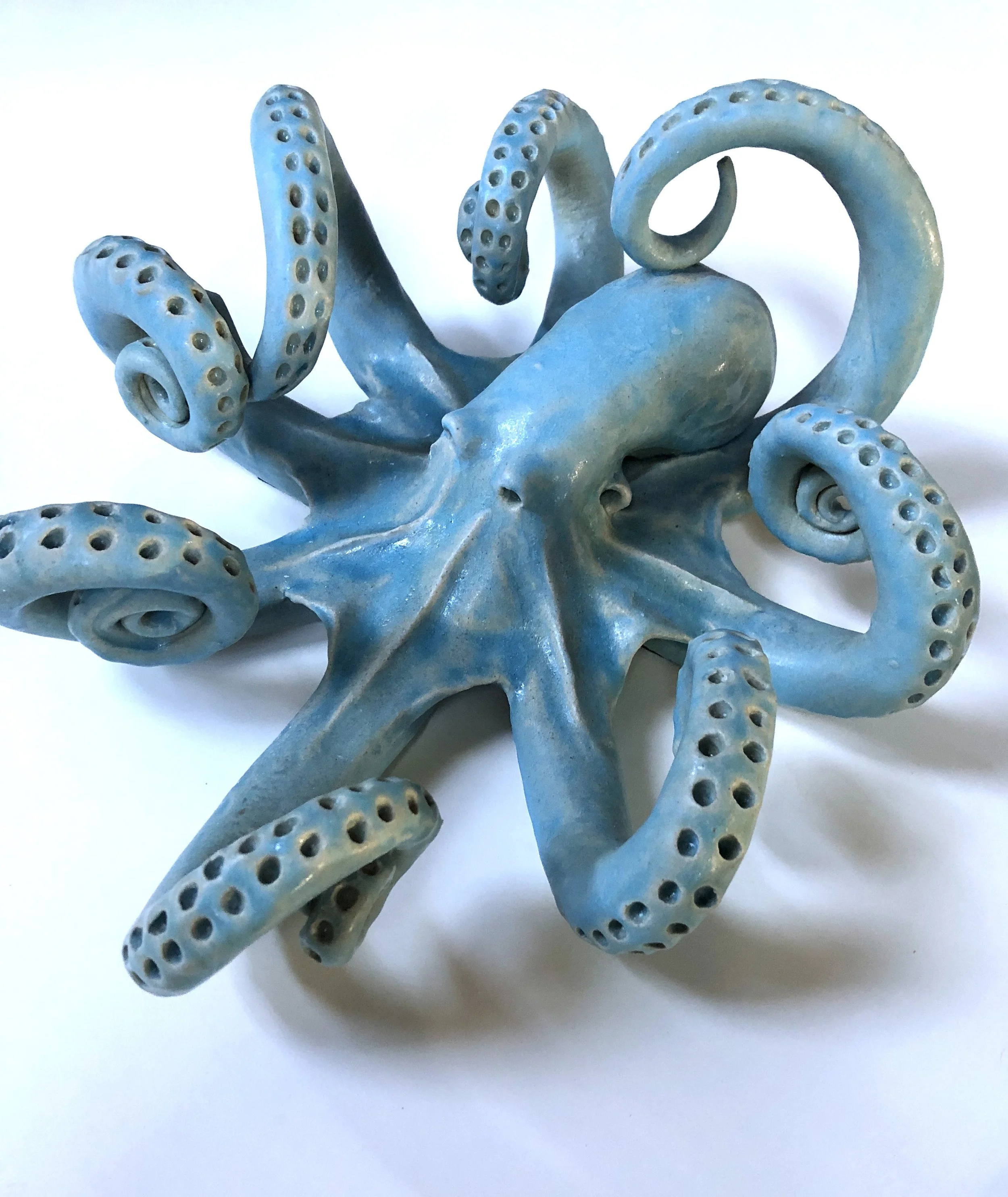 strini Octopus-6613.JPG