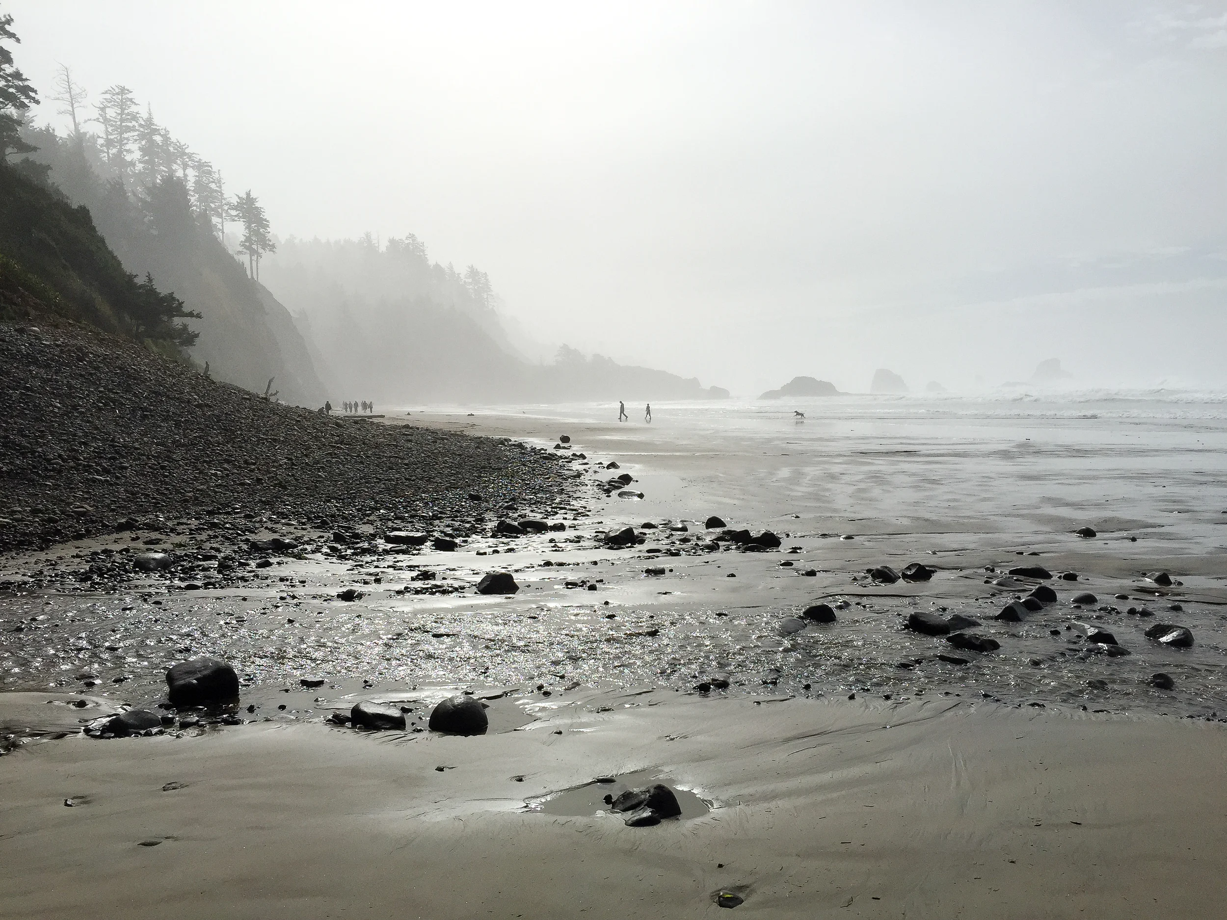 untitled-0390.jpg