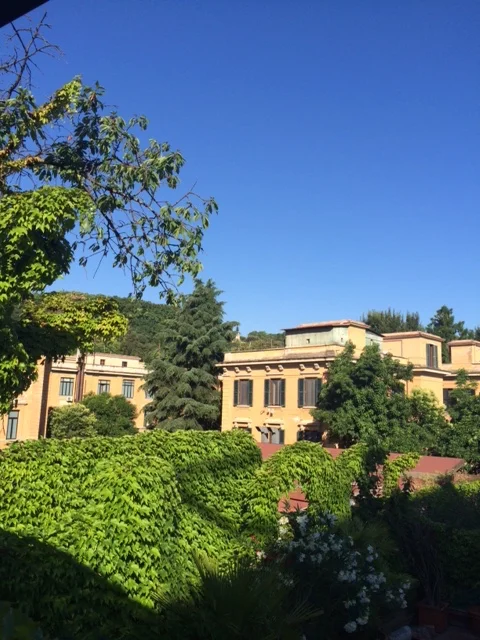 The view from our terrace of Buonanotte Garibaldi B&B. 
