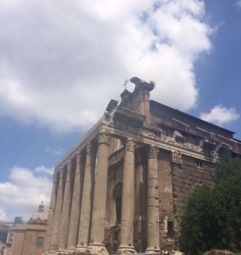 The Roman Forum
