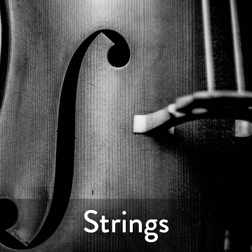 acoustic-strings.jpg