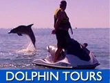 nav-dolphintours.jpg
