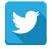 logo-twitter (1).jpg