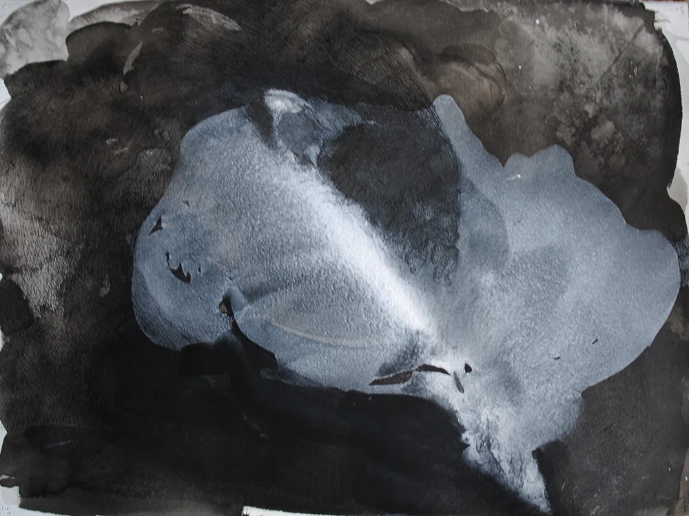 White Smoke ink and gouache 22x30"