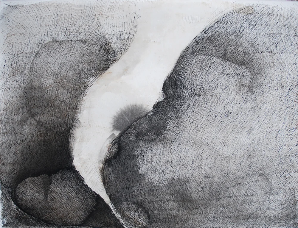 Plume 17 ink 22x30"