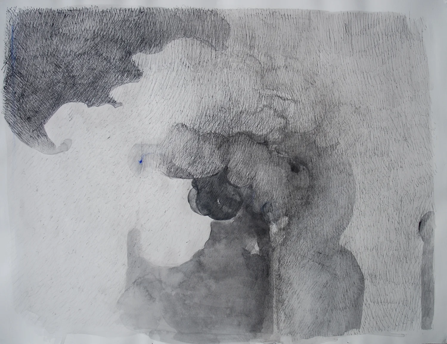 Plume 2 ink 22x30"