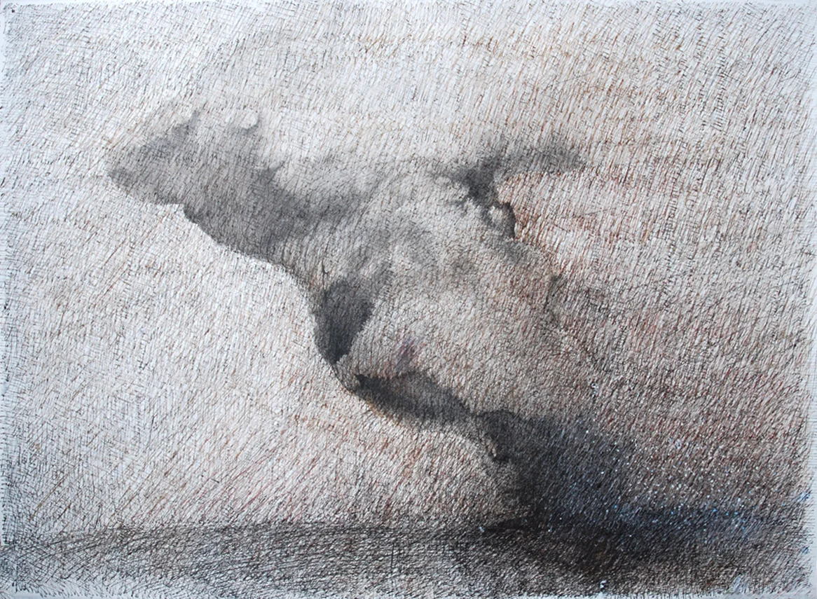 Plume 16 ink 22x30"