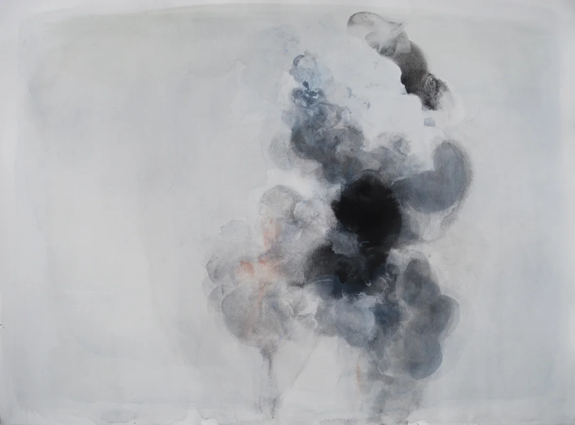 Plume 6 ink 22x30"