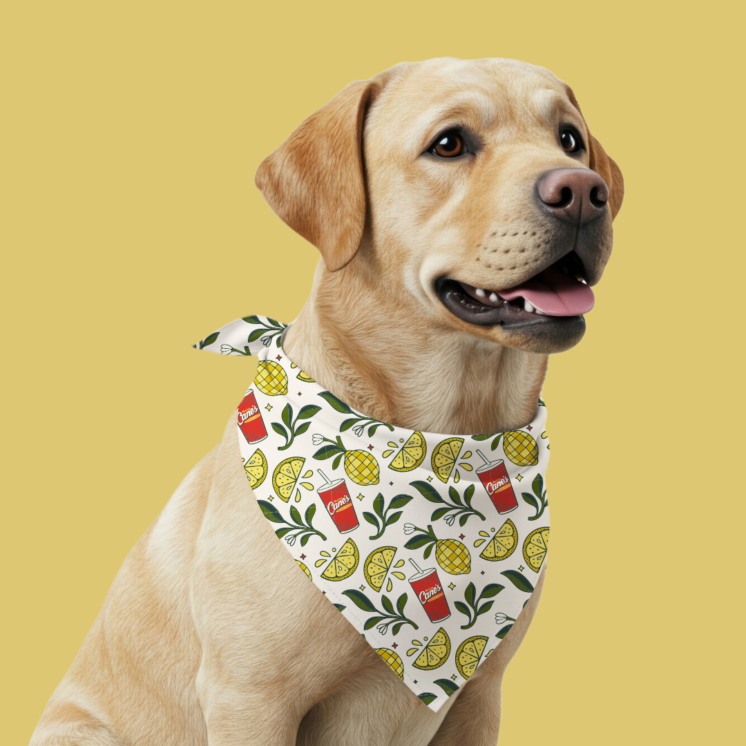 Cane Bandana 2.png