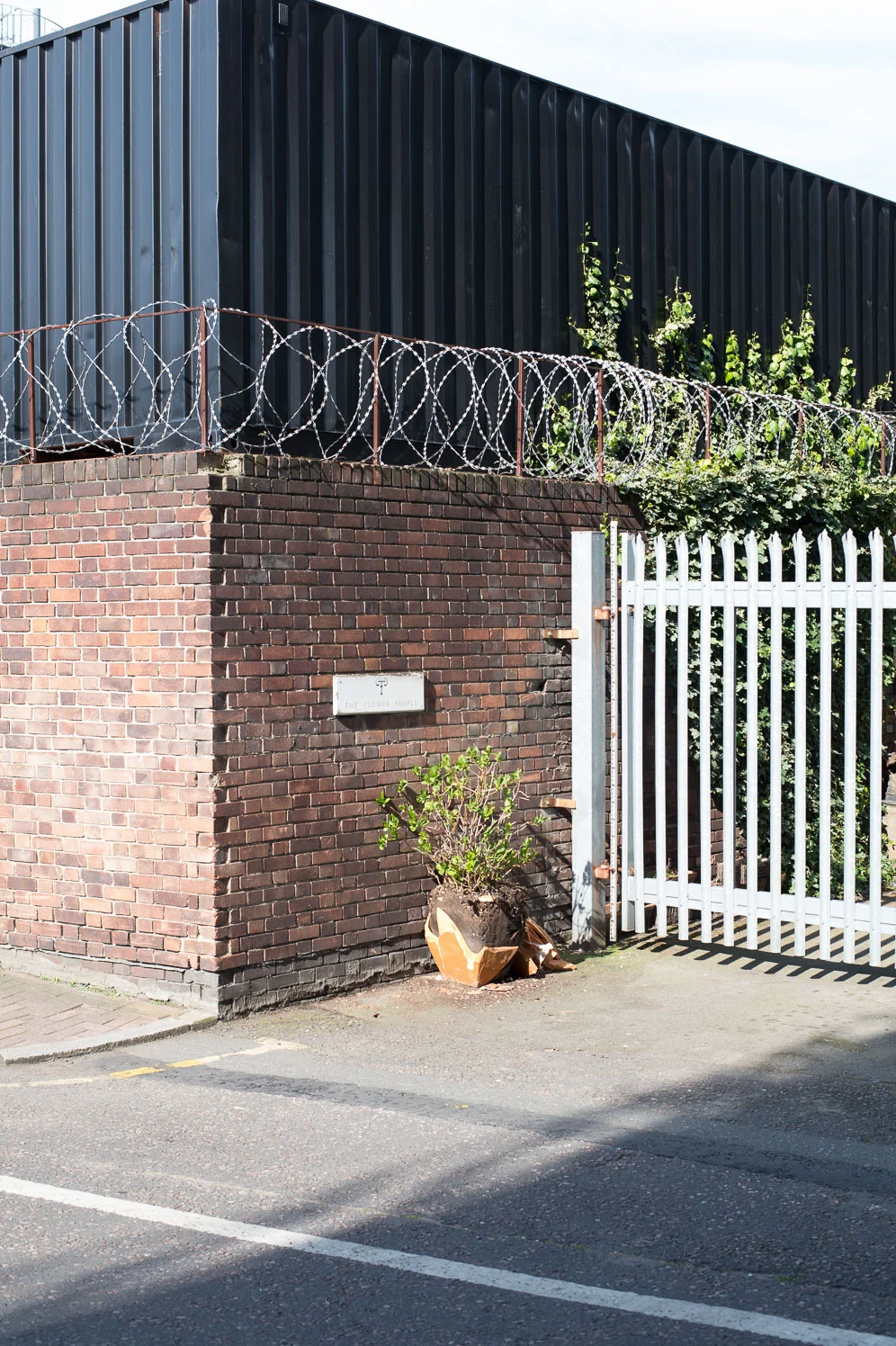 FvF_Sebastian-Bergne-033.jpg