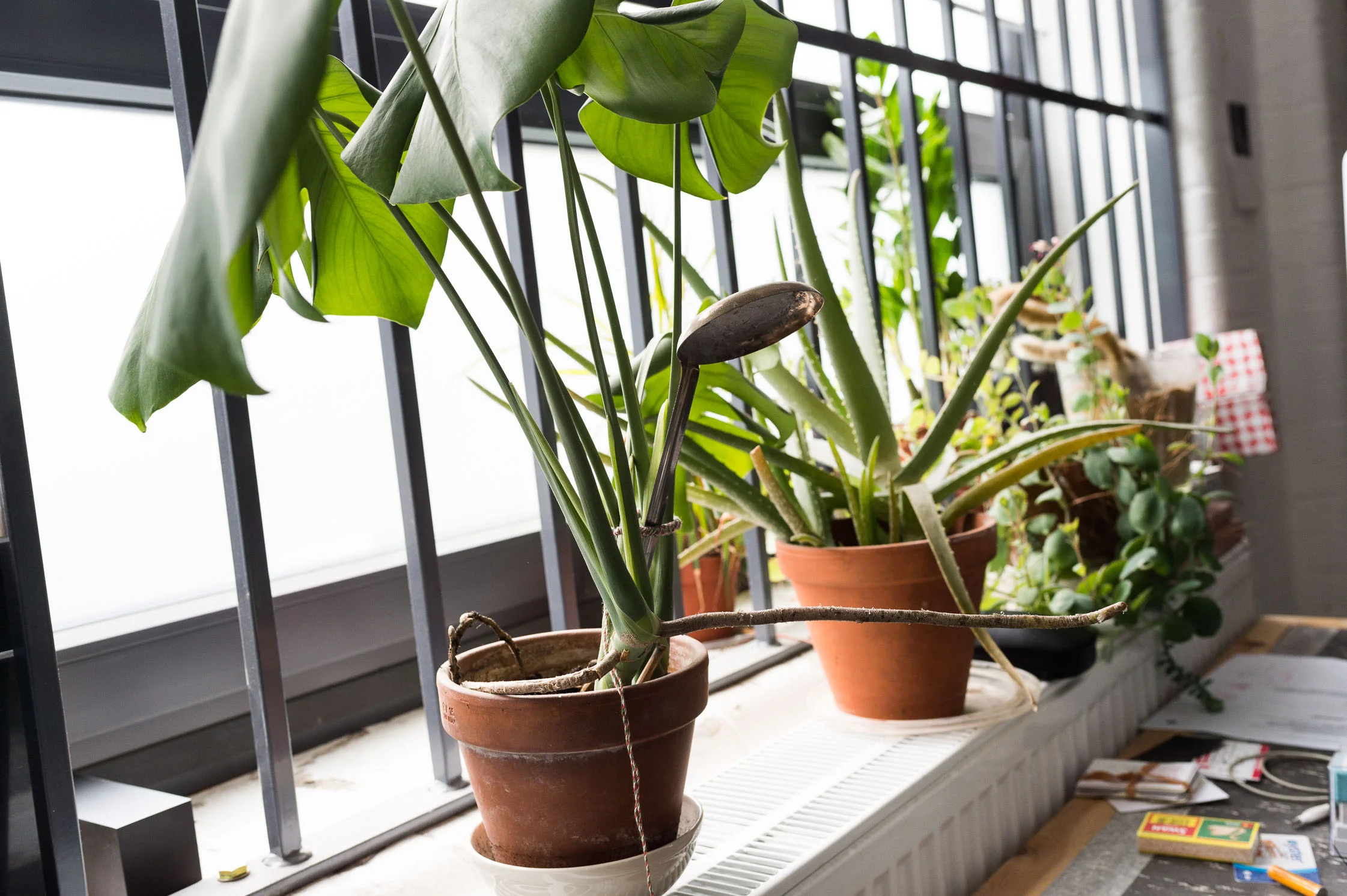 FvF_Philippe-Malouin-075.jpg