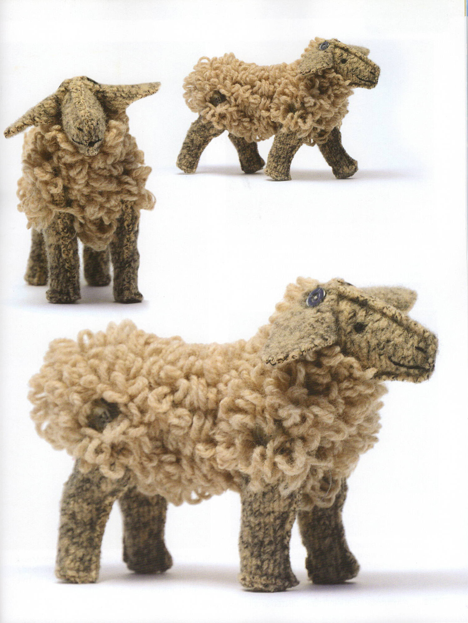 BJSA sheep 2.jpeg