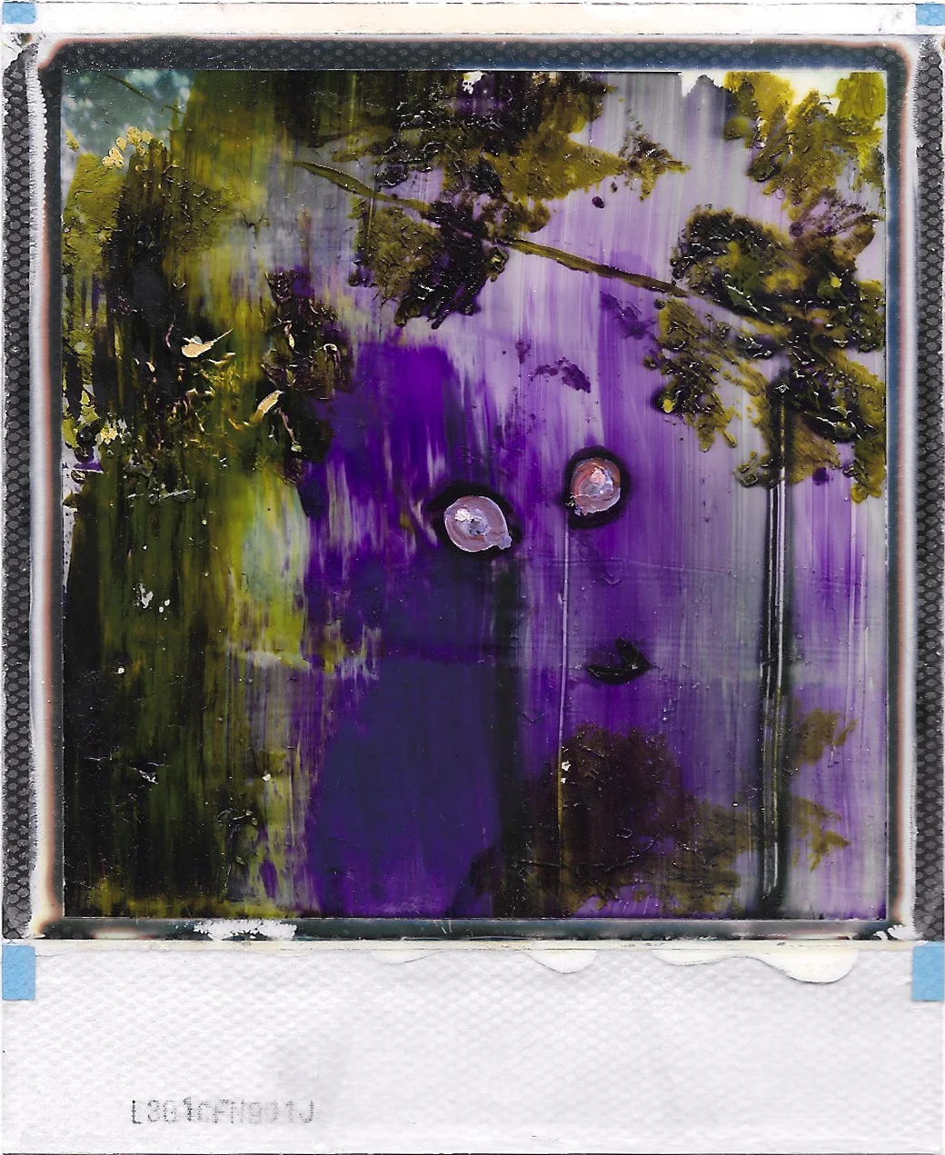 S001.jpg