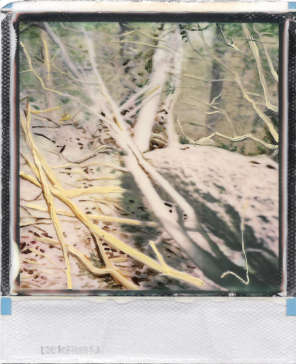 S008.jpg