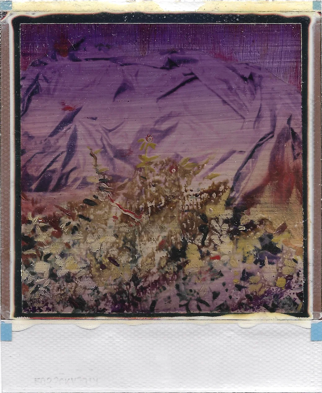 S009.jpg