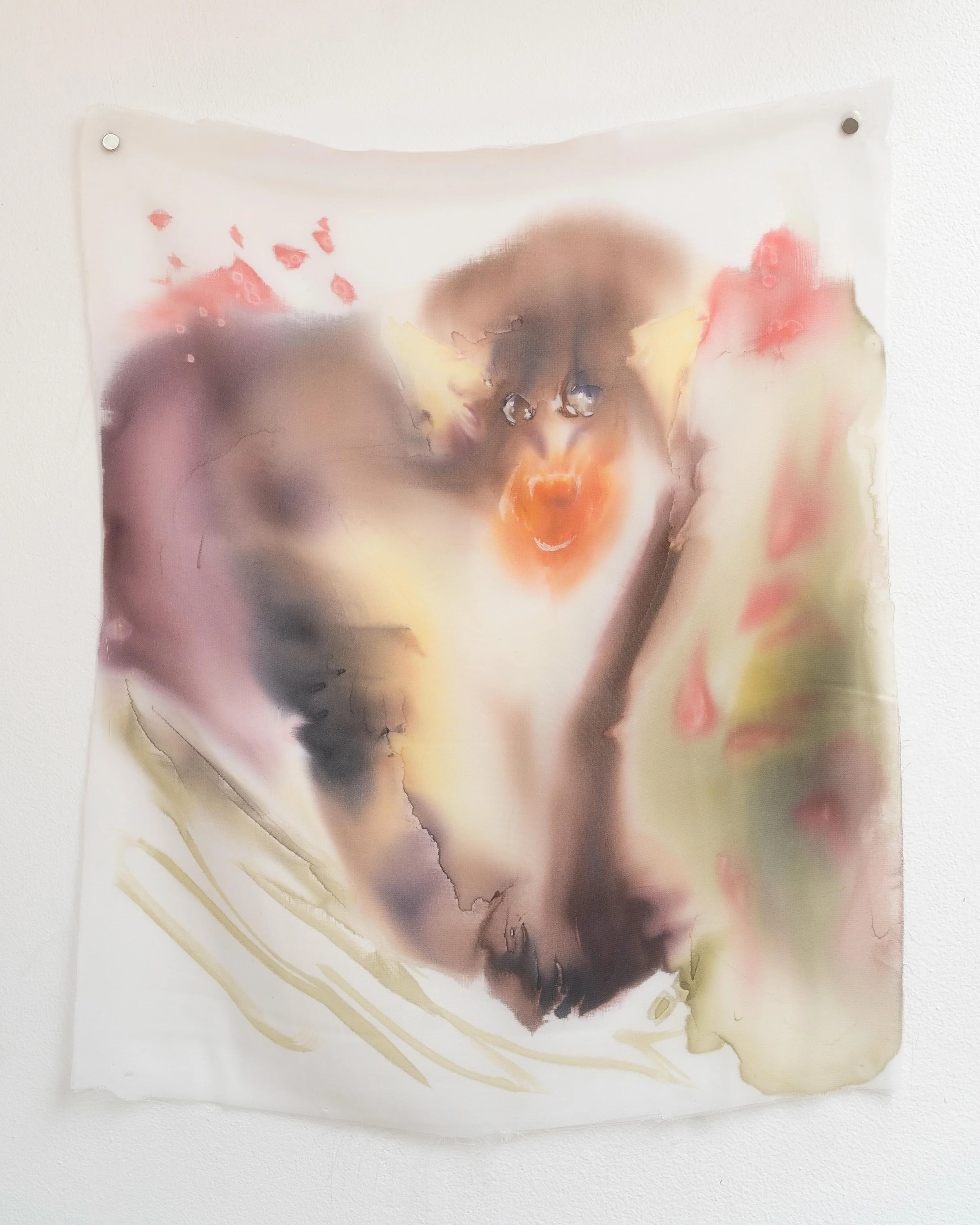 &ldquo;What were the secrets of the animal&rsquo;s likeness with, and unlikeness from man? The secrets whose existence man recognized as soon as he intercepted an animal&rsquo;s look.&rdquo;

John Berger - why look at animals?

Inks on synthetic silk