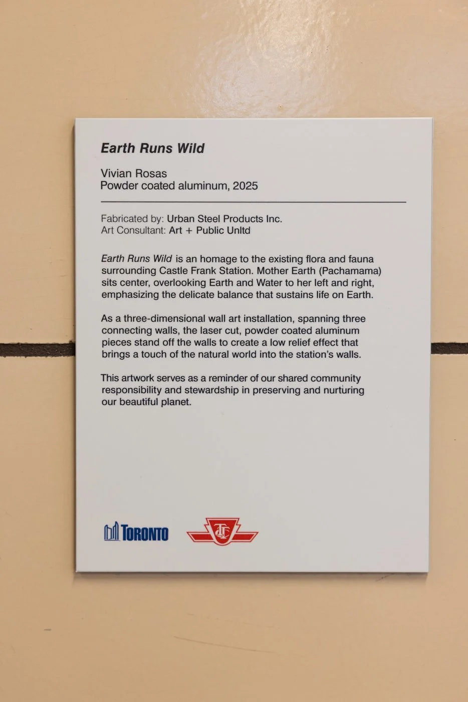 castle frank artwork 05 12 25-8444.jpg