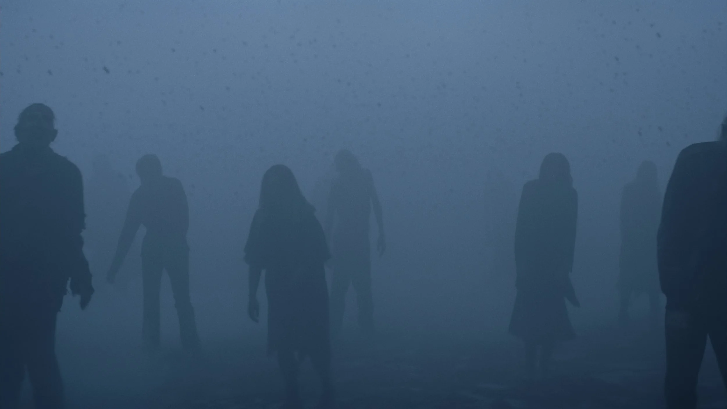 Screen Shot 2021-01-06 at 9.54.36 PM.jpg