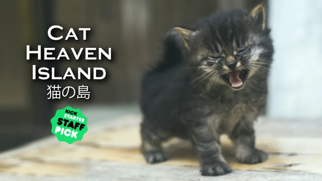 Cat Heaven Island (Featurette)