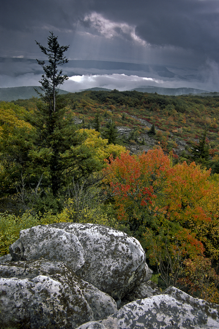 Bear Rock Preserves 