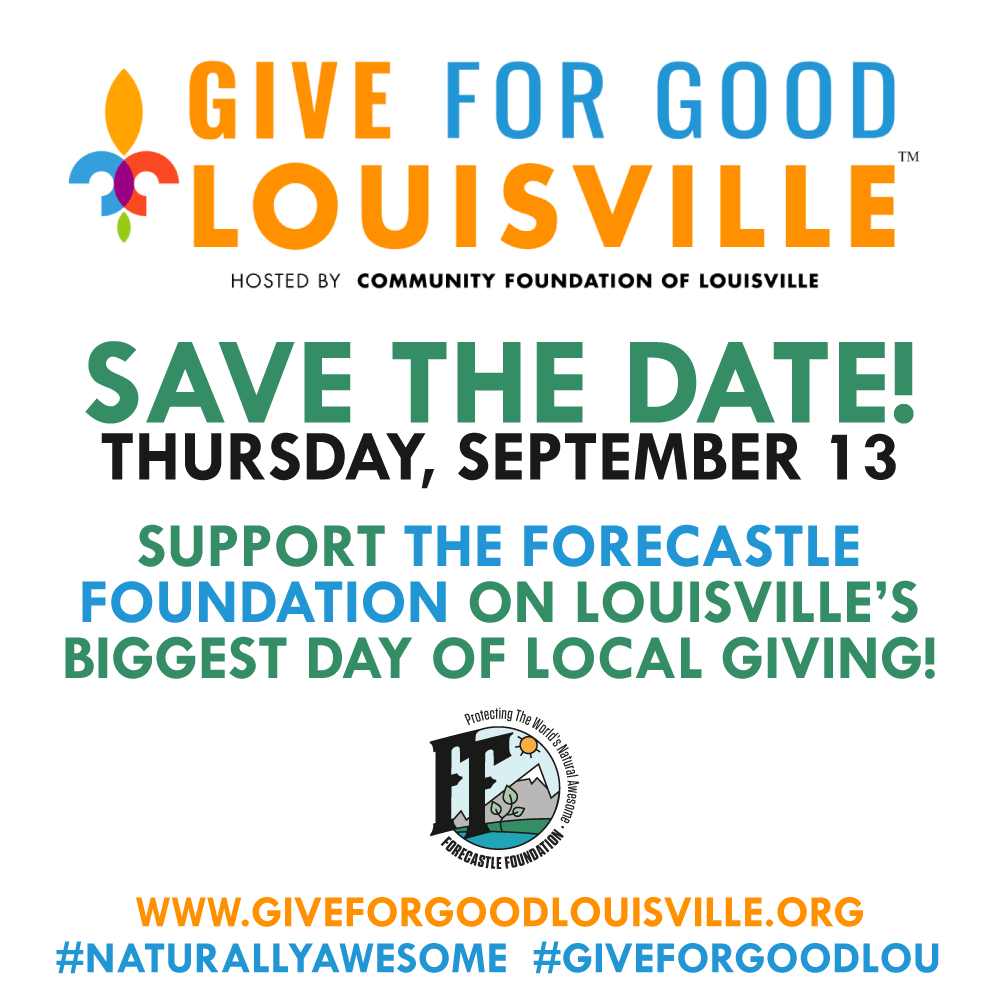 GIVE-FOR-GOOD-FORECASTLE-FOUNDATION.png