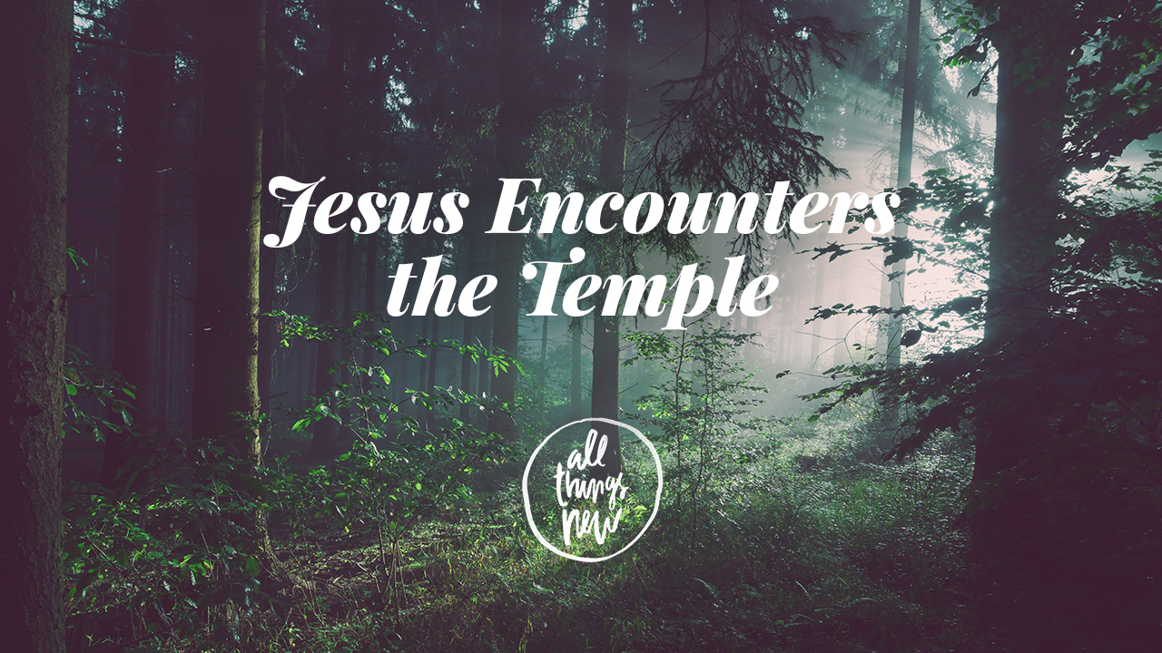 Jesus Encounters the Temple