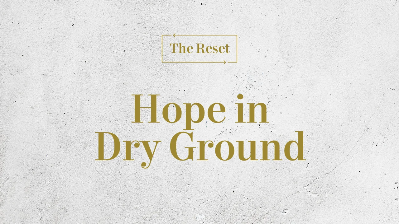 Hope In Dry Ground