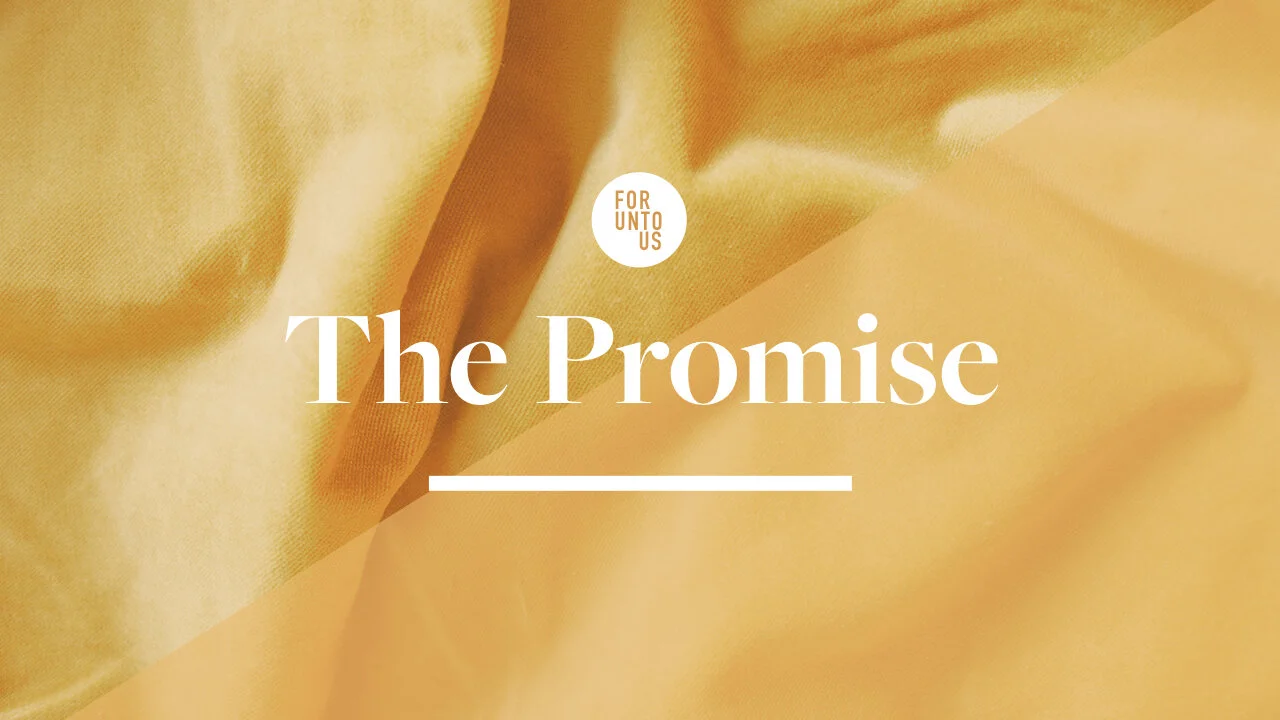 The Promise