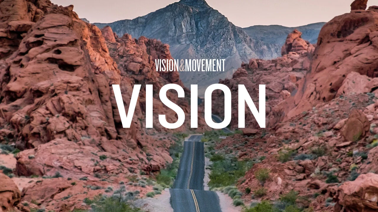 Vision