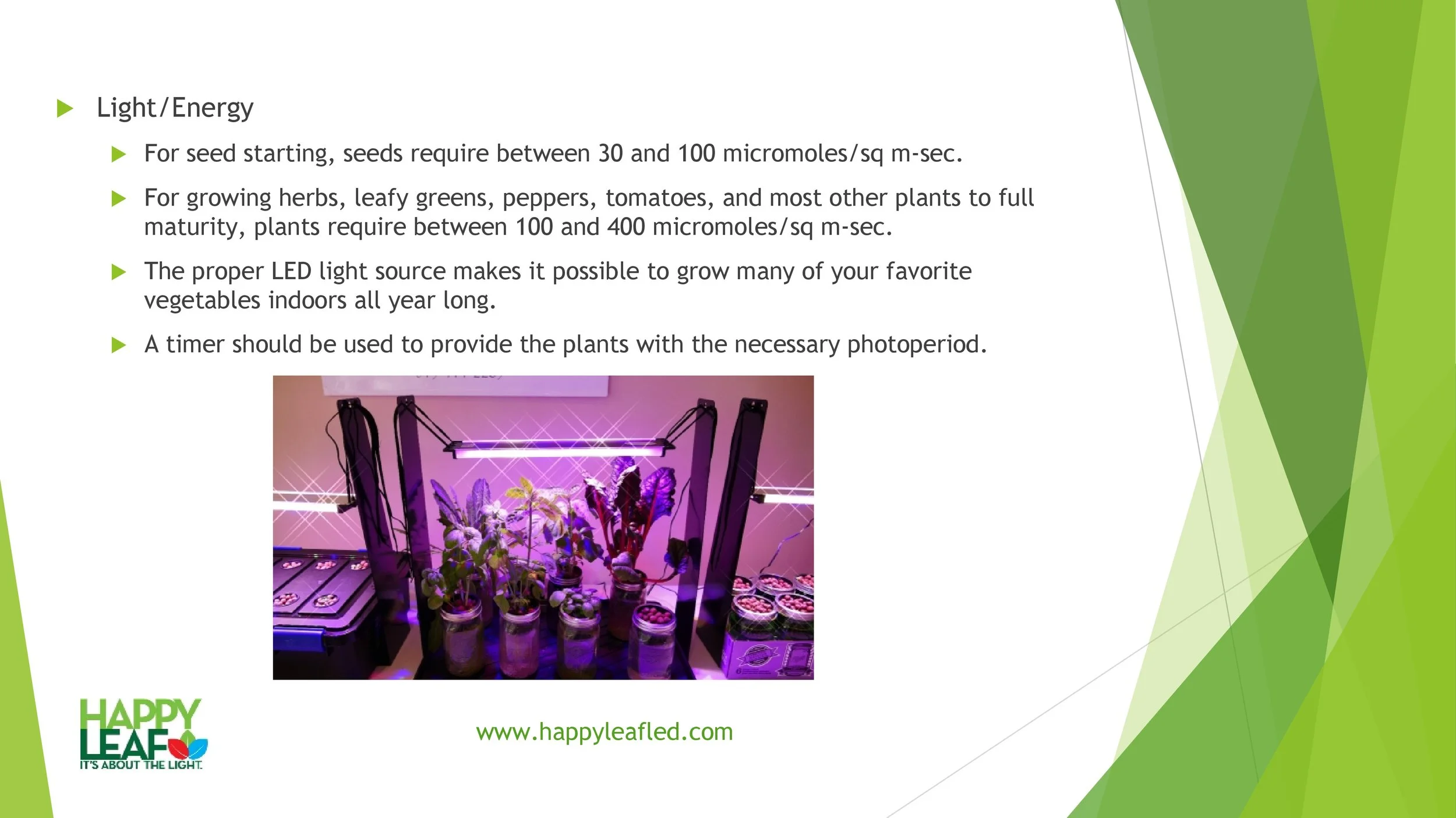 The Anywhere-Anytime Garden-9.jpg