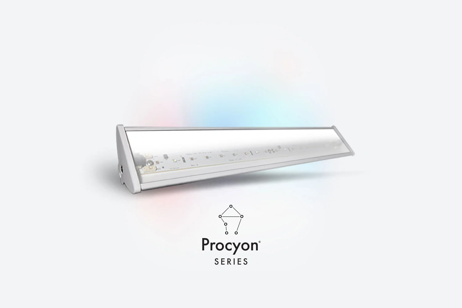 Procyon-17-A.jpg