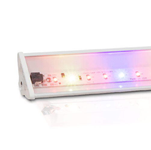 1-Light-bezel.png